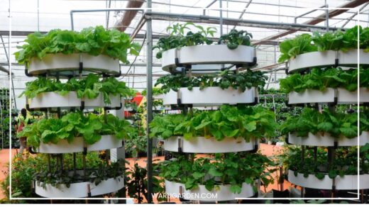 Vertical Farming